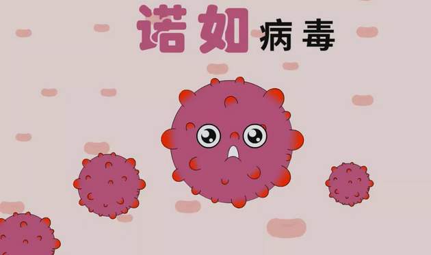 華唐藝術(shù)高中